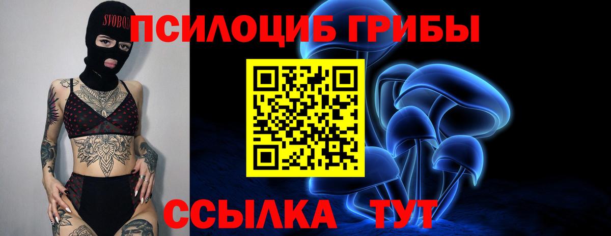 Галлюциногенные грибы Cubensis  Галлюциногенные грибы MAGIC MUSHROOMS  наркота  Вход с VPN  Армавир 